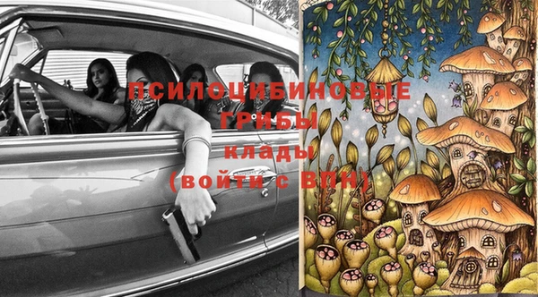 гашик Балахна