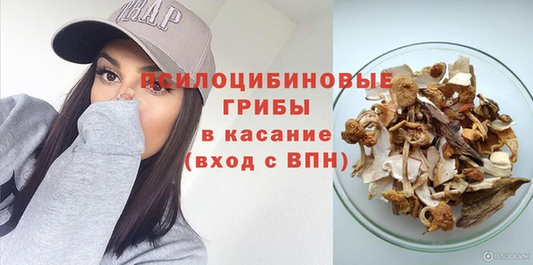 гашик Балахна