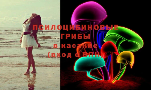 гашик Балахна