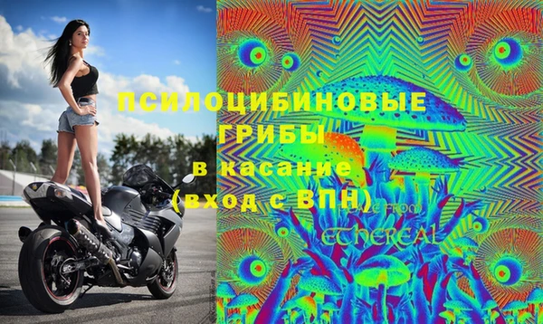 соль ск Балабаново
