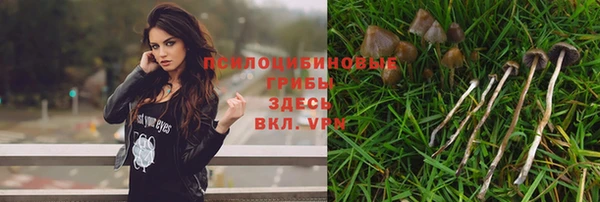 соль ск Балабаново