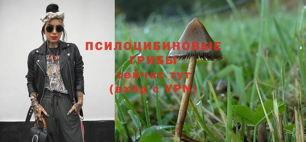 ALPHA PVP Баксан