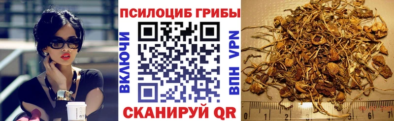 Галлюциногенные грибы MAGIC MUSHROOMS  Ногинск 