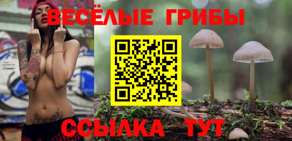 Ногинск  Галлюциногенные грибы ЛСД  Вход с VPN 